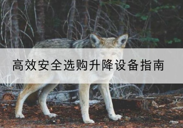 奎屯升降货梯厂家推荐-*安全选购升降设备指南