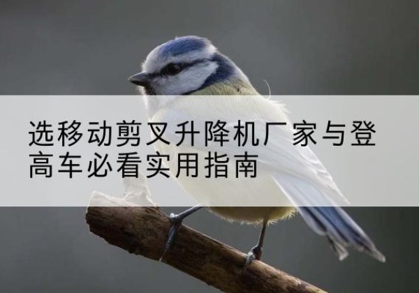 奎屯电动升降机厂家-选移动剪叉升降机厂家与登高车必看实用指南