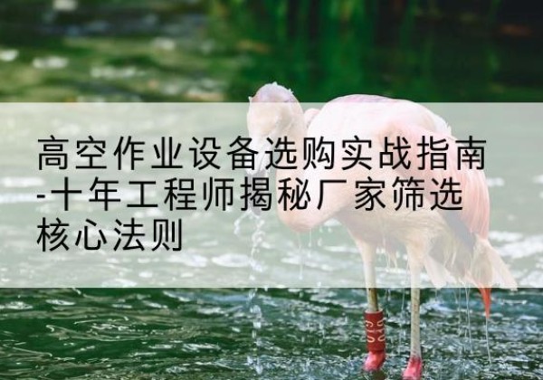 奎屯剪叉式升降机厂家-高空作业设备选购实战指南-十年工程师揭秘厂家筛选核心法则